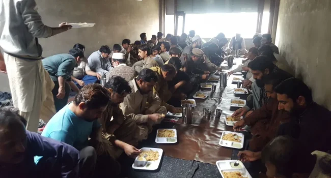 maida-lil-ghani-free-lunch-for-labor