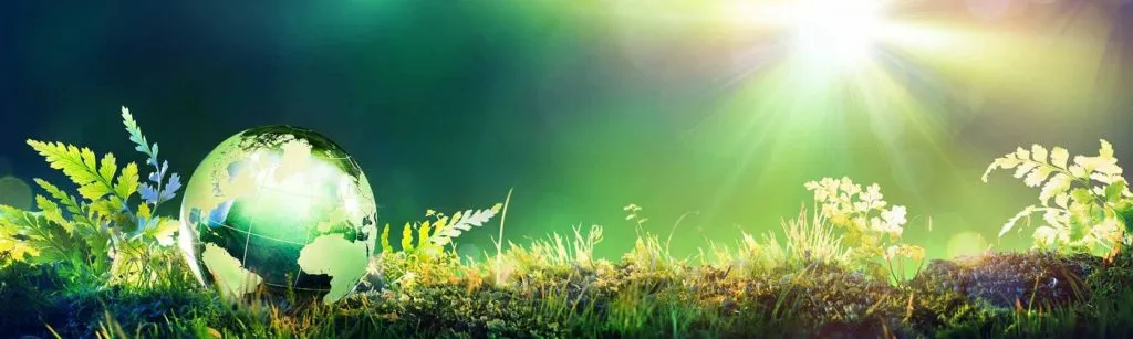environment-banner-grow-ghani-glass